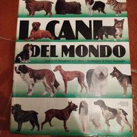 I cani del mondo