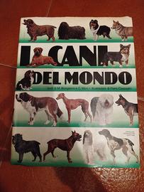 I cani del mondo