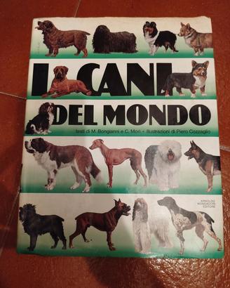 I cani del mondo