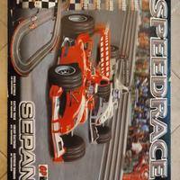 pista radiocomandata 