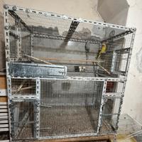 Gabbie, voliere e accessori per uccelli