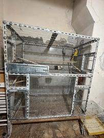 Gabbie, voliere e accessori per uccelli