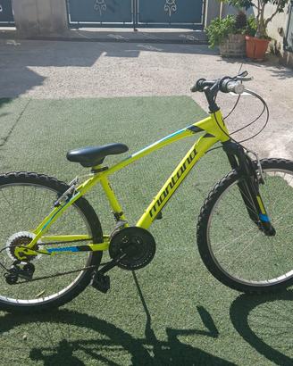 bici buone condizioni 