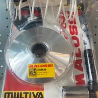 Variatore multivar vespa sprint primavera