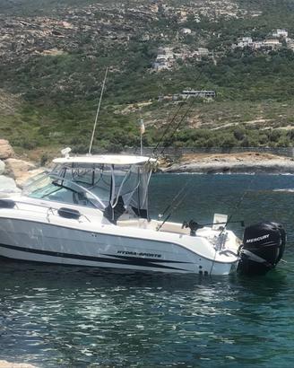 Hydra-Sports 2900 Vector anno 2007