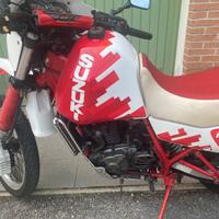 Suzuki dr 650 djebel