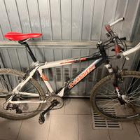 Mountain bike carnielli