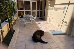 Appartamento con posto auto a 40 mt dal mare