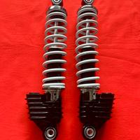 Ammortizzatori Ceriani