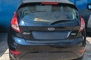 Ford Fiesta Black e white