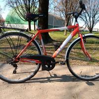 bicicletta City bike da uomo CARNIELLI 