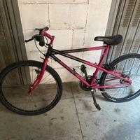 BIANCHI Thomisus Viola