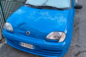 fiat 600   2004