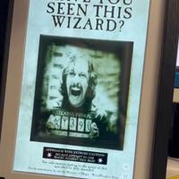 Quadro animatronico Sirius Black - Harry Potter 