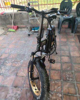 Bici Elettrica