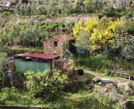 RUSTICO A SOLDANO