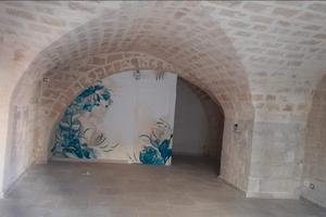Locale completamente ristrutturato 60mq