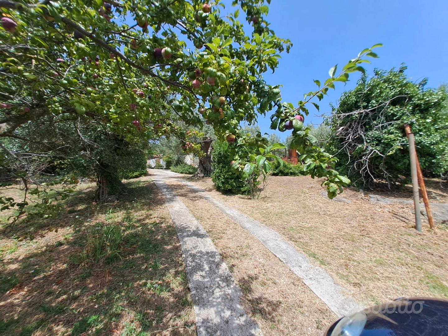 Rif.49 Terreno Agricolo e Magazzino Albano Laziale - Vista 5