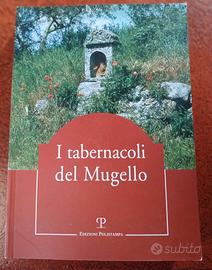 I tabernacoli del Mugello, Ed. Polistampa 1999.