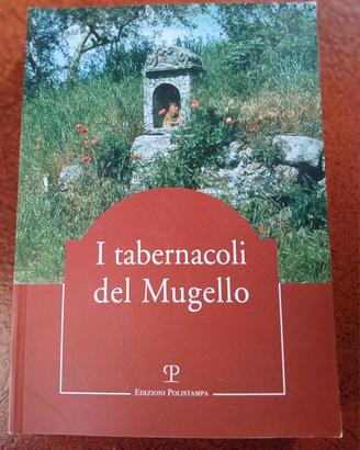 I tabernacoli del Mugello, Ed. Polistampa 1999.