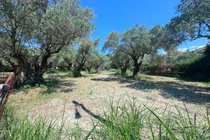 TER. AGRICOLO A CATANZARO