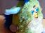Immagine 2