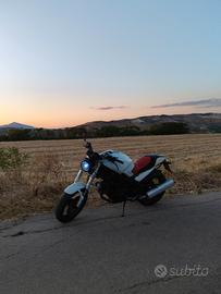 Ducati Monster 600 depotenziata 