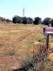 Terreno agricolo