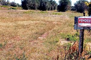 Terreno agricolo