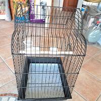 gabbia per pappagalli 