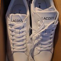 scarpe sportive nuovo lacoste num 42 