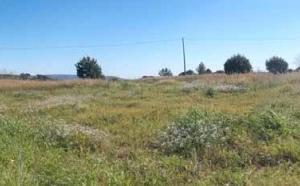 RGE 78/2017 Trib ENNA - LOTTO 6