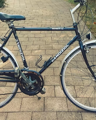 Bicicletta uomo bandiziol