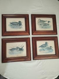 serie 4 quadri 