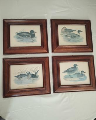 serie 4 quadri 