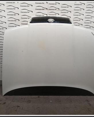 Cofano Motore Anteriore SKODA Octavia 1U5 SW