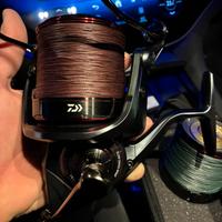 Daiwa tournament basia