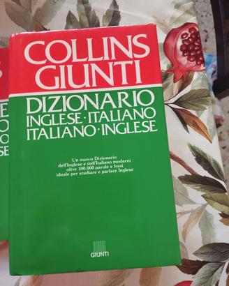 dizionario inglese  Collins