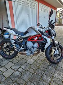 MV AGUSTA - BRUTALE 800