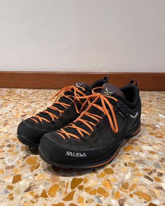 Salewa Mnt Trainer 2 Gtx