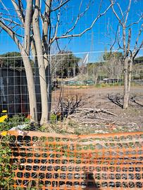 Terreno Agricolo