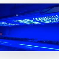 2 gnc bluray + silver moon + staffa in plexi