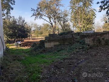 Terreno agricolo
