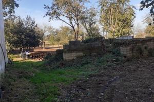 Terreno agricolo