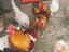 Immagine 3