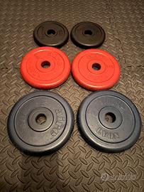 Set dischi / pesi gommati 28mm