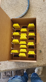 Ape regina ligustica