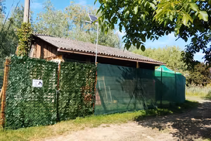 Terreno oasi