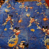 Coperta Disney Caleffi 