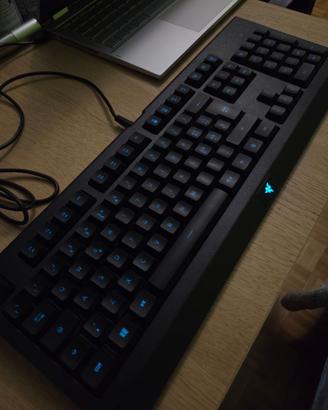 Tastiera da gaming Razer Cynosa Lite